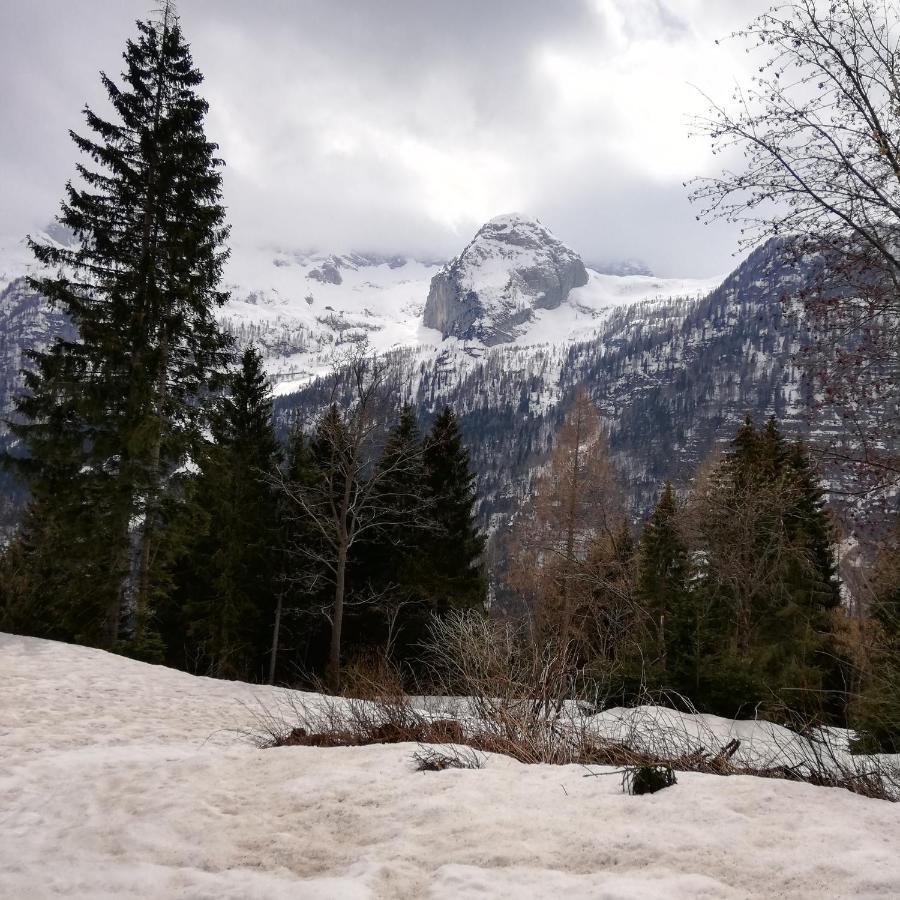 Il Risveglio Daire Sella Nevea Dış mekan fotoğraf