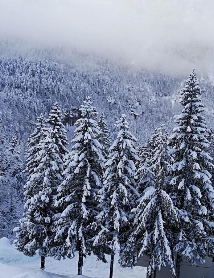 Il Risveglio Daire Sella Nevea Dış mekan fotoğraf