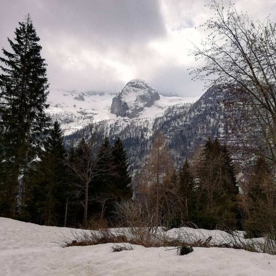 Il Risveglio Daire Sella Nevea Dış mekan fotoğraf